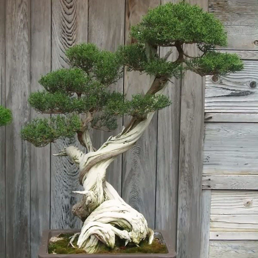 Meet your Posher, Kian